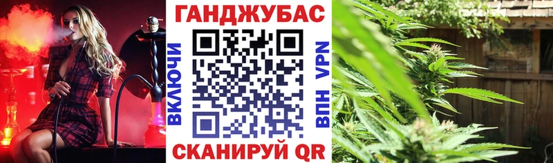 Канабис марихуана  Городовиковск 